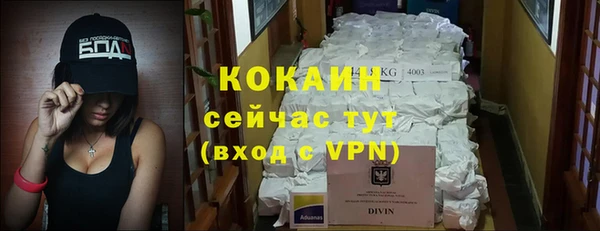 мдпв Рославль