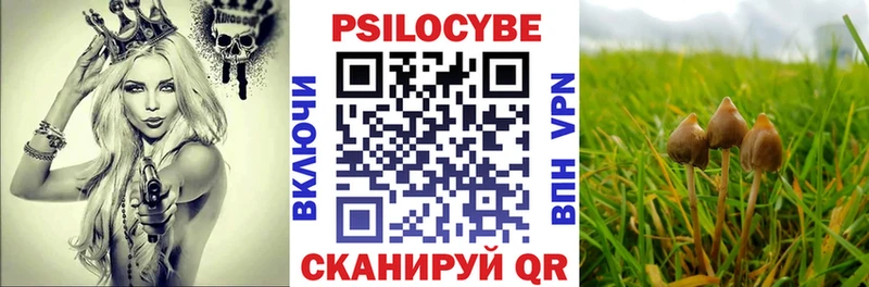 даркнет сайт  Боровск  Галлюциногенные грибы Cubensis 
